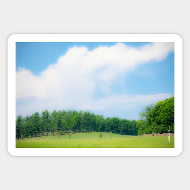 Summer Day at Shelburne Farms, Vermont Sticker by srwdesign